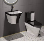 Black & white Luxury wc with Wall-hung basin