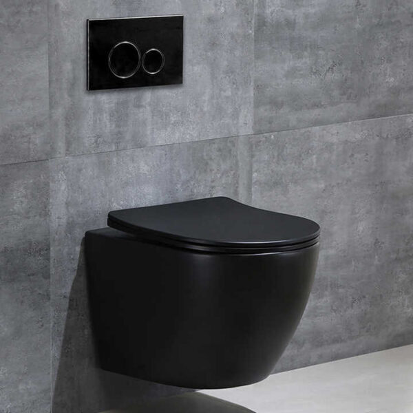 Black Round pan Executive concealed toilet