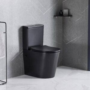 Black round executive water closet wc